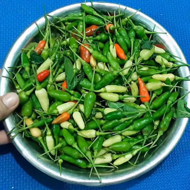 Bước 1  Sơ chế ớt Ớt ngâm nước mắm